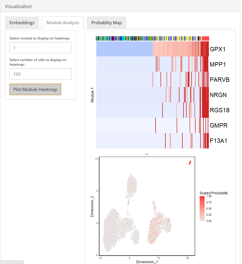 celdavisualization2